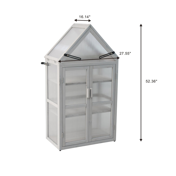 Mini Greenhouse Kit - Outdoor Plant Stand, Small Green House, Plant Stand Indoor, Green Houses for Outside, Indoor Garden and Patio Accessories Indoor Greenhouse, Tiered Plant Stand