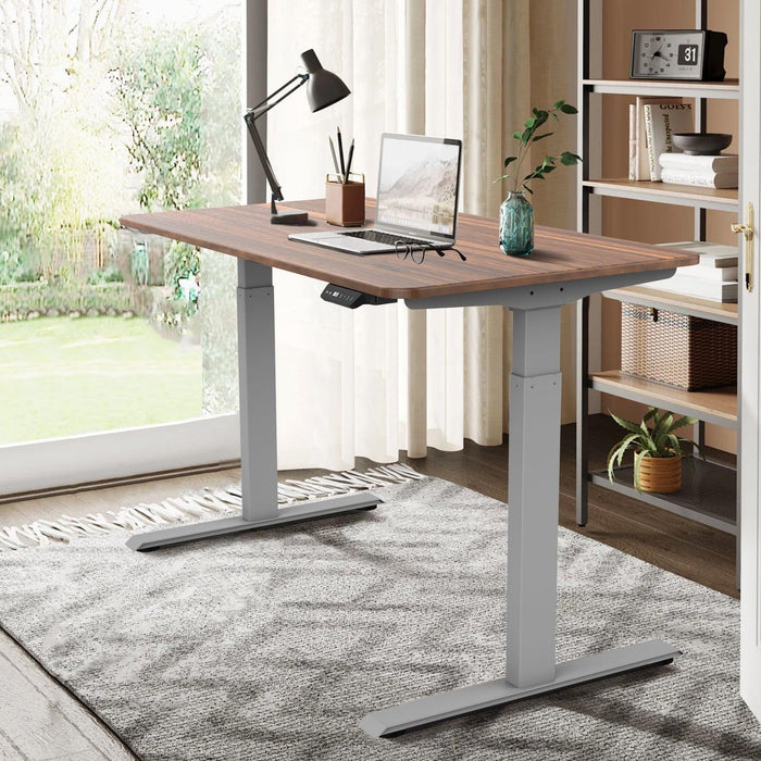 Electric Standing Desk  with Dual Motor Height Adjustable Sit Stand Desk Computer Workstation with USB Charge
"	
，Silver Grey