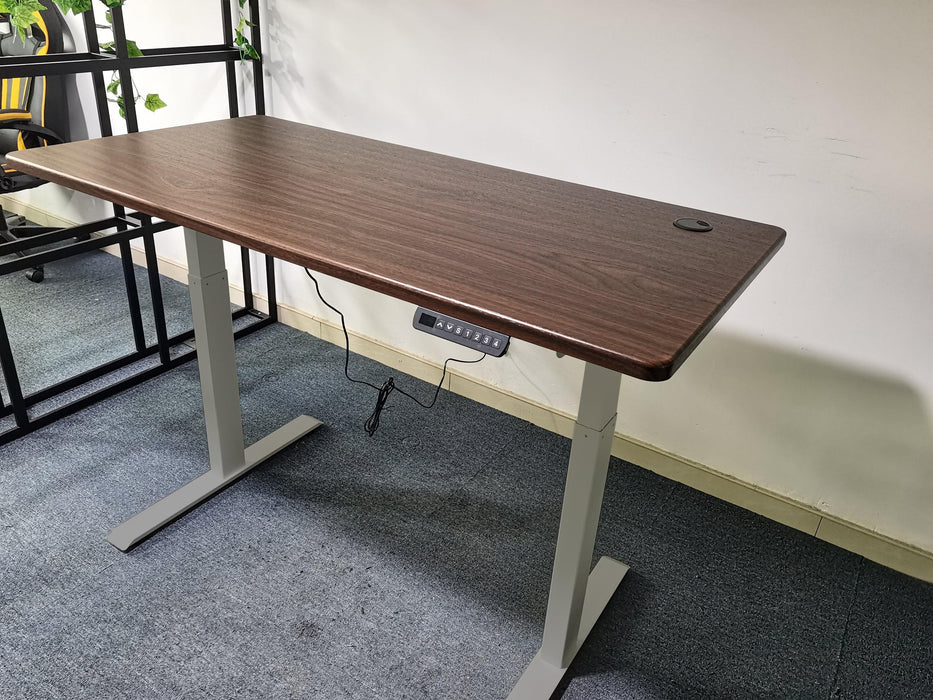 Electric Standing Desk  with Dual Motor Height Adjustable Sit Stand Desk Computer Workstation with USB Charge
"	
，Silver Grey