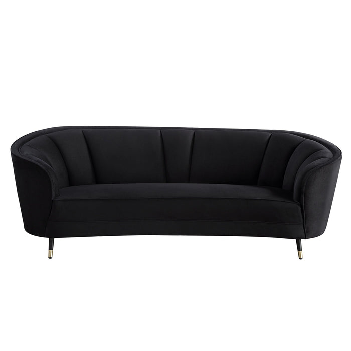 ACME Achim Sofa w/2 Pillows, Black Velvet LV00203