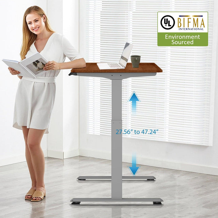 Electric Standing Desk  with Dual Motor Height Adjustable Sit Stand Desk Computer Workstation with USB Charge
"	
，Silver Grey