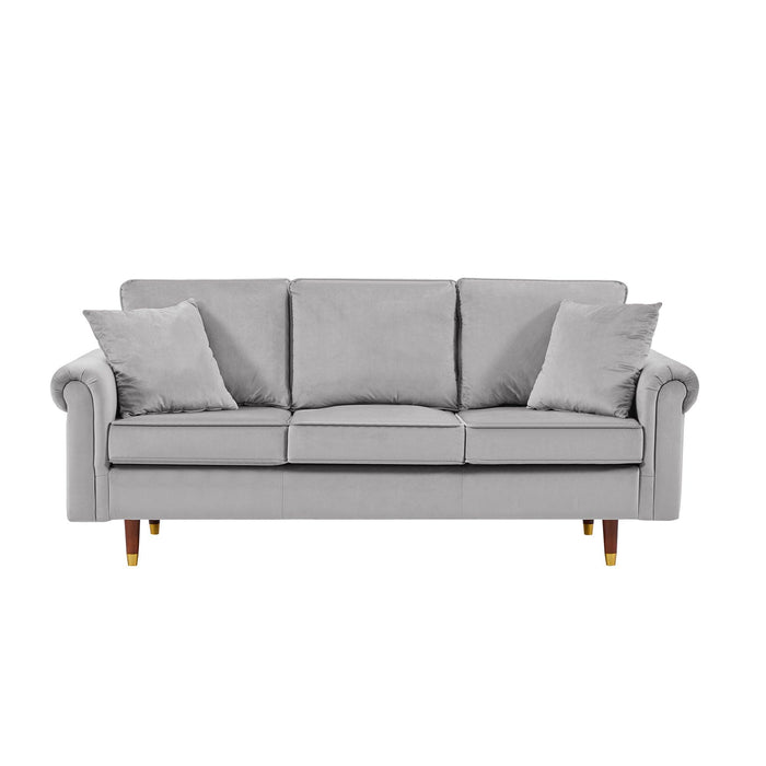 Modern Velvet Sofa Set  , 2 seater and 3 Seater Sofa With Wood Legs for Living Room  .